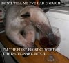 aardvark saying.JPG