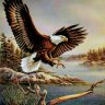 LoneEagle32
