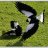 69magpie