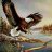 LoneEagle32